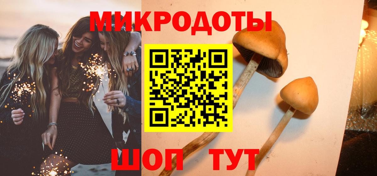 Галлюциногенные грибы Psilocybe  купить   Вход с VPN  Ногинск  Псилоцибиновые грибы прущие грибы 